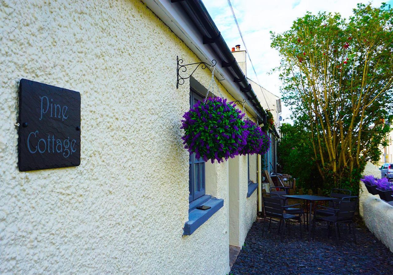 Staycation At Pine Cottage, A Newly Refurbished Holiday Cottage Goodwick Exteriör bild